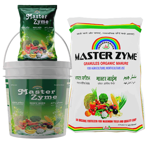 Master Zyme-Granules Organic Fertilizer