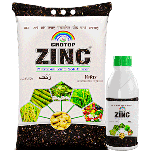 Grotop ZINC-Zinc Solubilising Bio Fertilizers