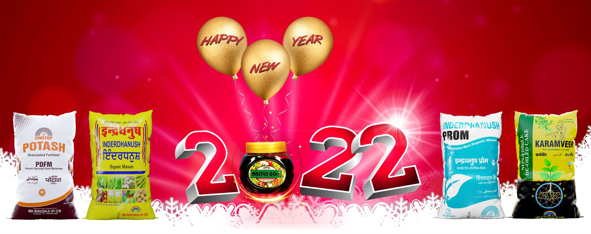Celebrating New Year 2022